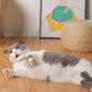 Bird Feather Automatic Cat Teaser Stick