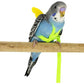 Parrot Flying Rope