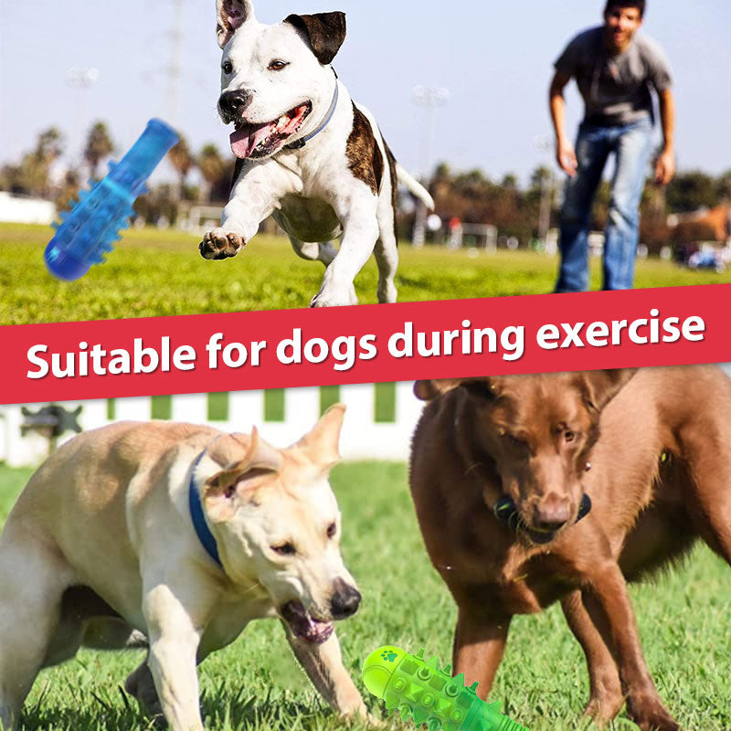 Baseball Pet Chewing Toy