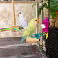 Pet Bird House Standing Pole（Random Color）