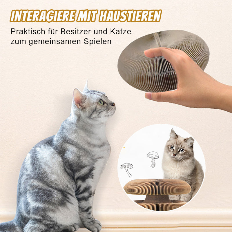Organ-Katzenpfoten-Brettspielzeug/Fun cat scratching post