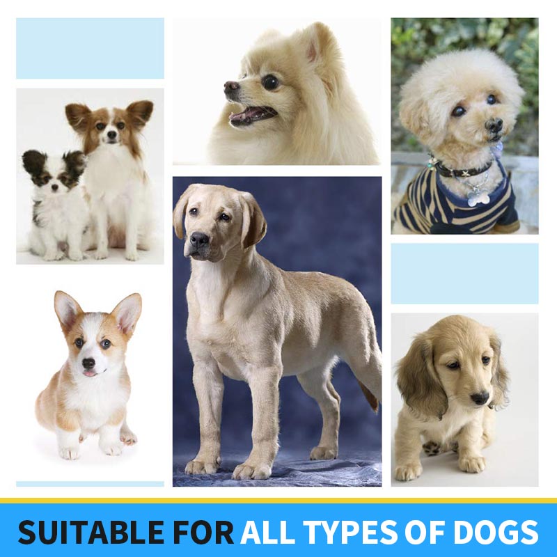 Pet Air Filtration Mask for Dog