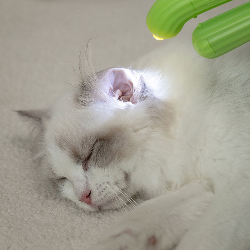 3 in 1 Pet Cactus Nail Scissors