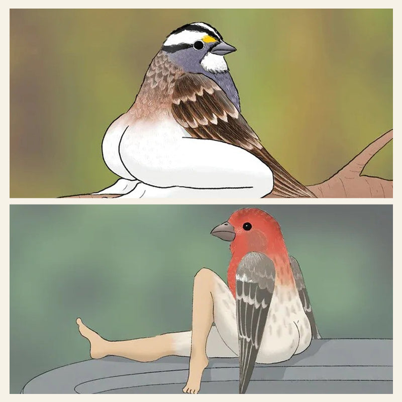 Accurate Bird Calendar For 2024