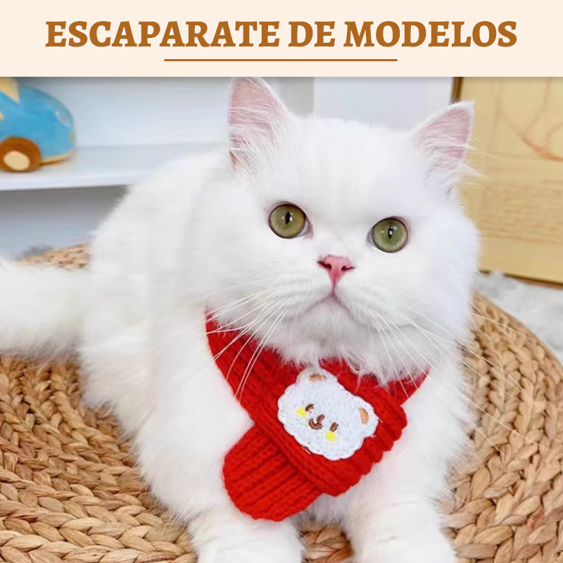 Bufanda de Oso Doméstico/cat scarf