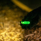 Micro Bright Flashlight
