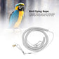 Parrot Flying Leash