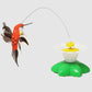 Electric Butterfly Hummingbird Cat Teaser Stick