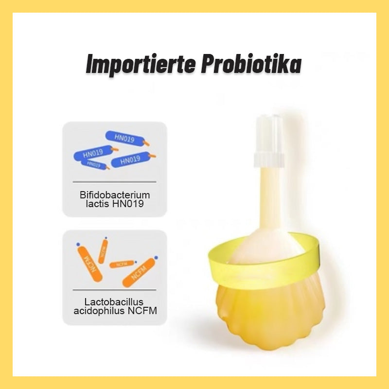 Probiotisches Kaiselu/kaiselu