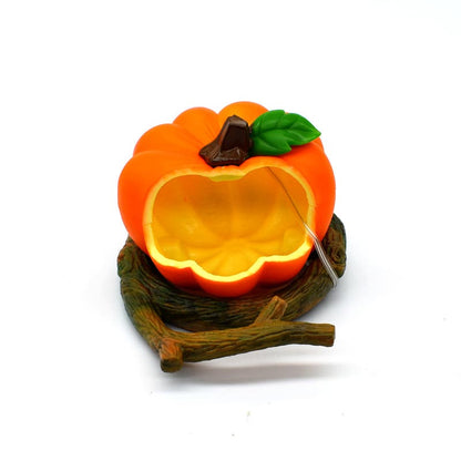 Creative Parrot Fruit Food Box