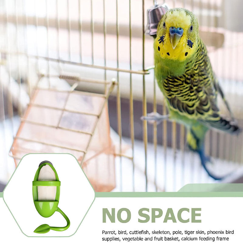 Can Put Cuttlefish Skeleton Food Box