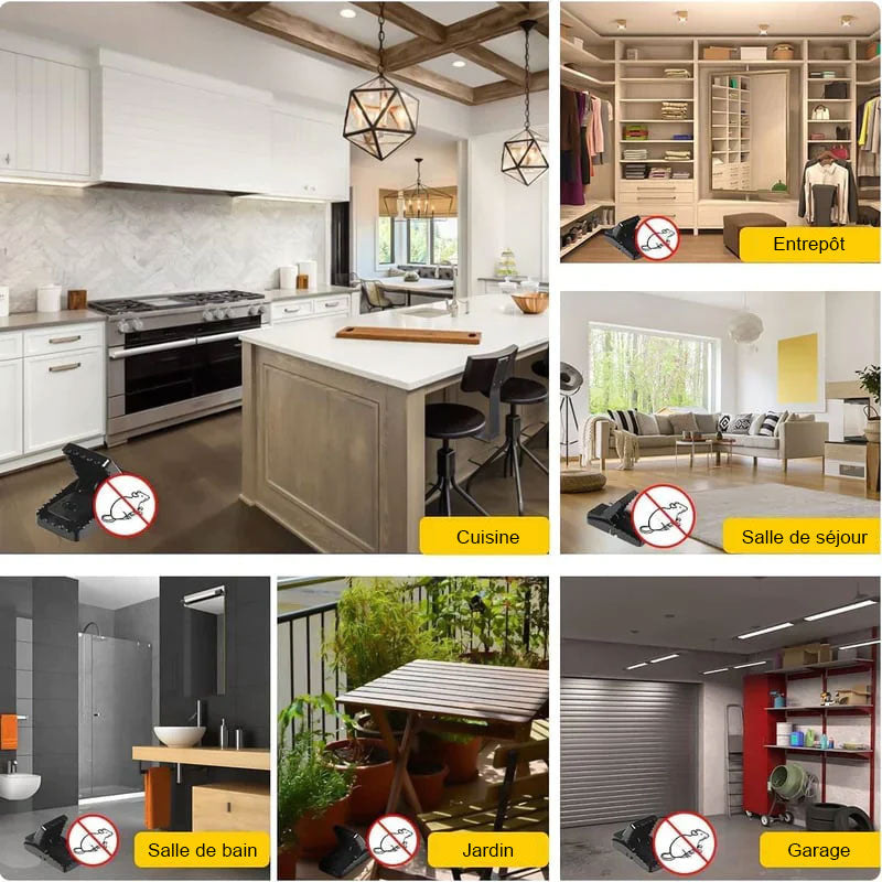 ✨2023 Nouvelle Piège à Souris Rapide et Efficace, Sécuritaire et Sanitaire