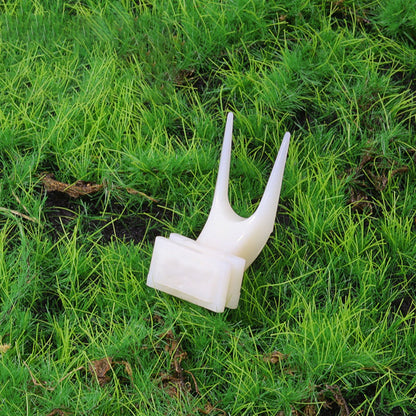 Pet Parrot Fruit Fork