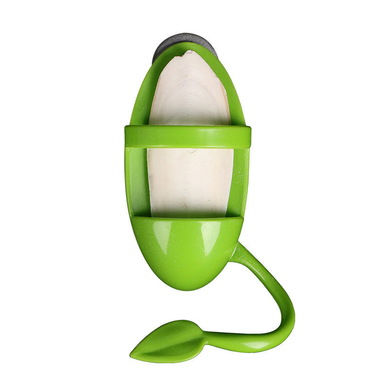 Can Put Cuttlefish Skeleton Food Box