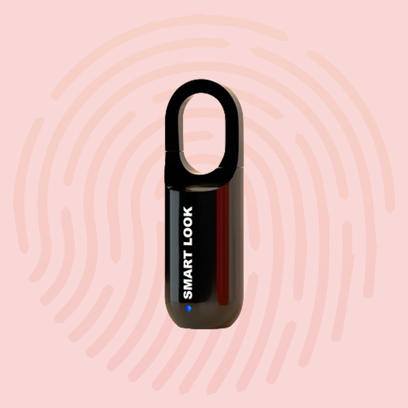 Mini Smart Fingerprint Lock