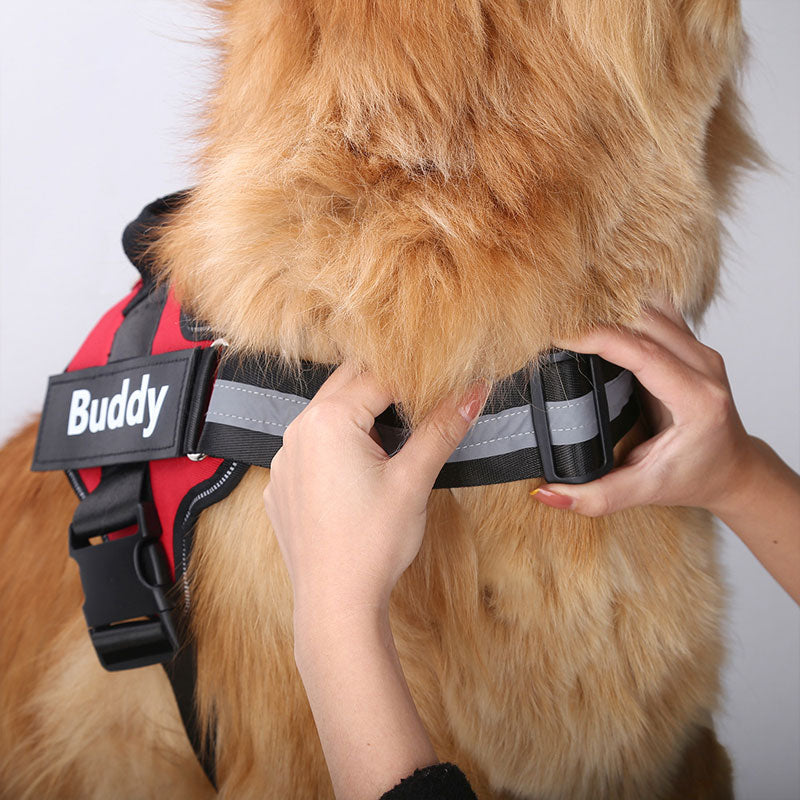 Non-Pull Dog Harness!❤️🐶