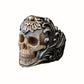 Titanium Steel Skull Skull Ring