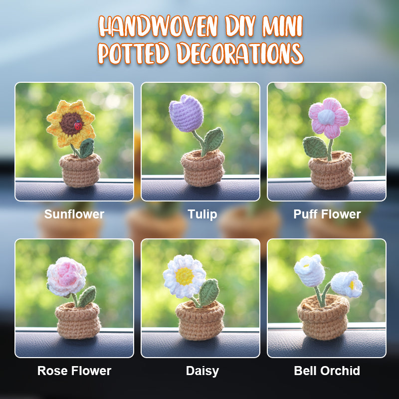 Handwoven Diy Mini Potted Decorations