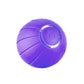 Pet Automatic Bouncing Ball