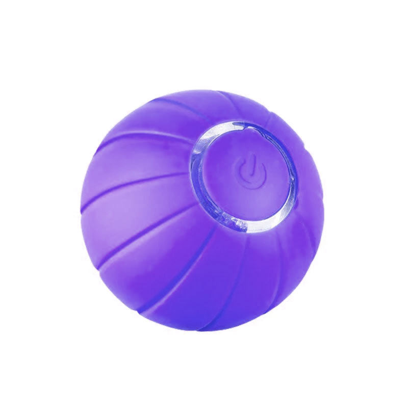 Pet Automatic Bouncing Ball