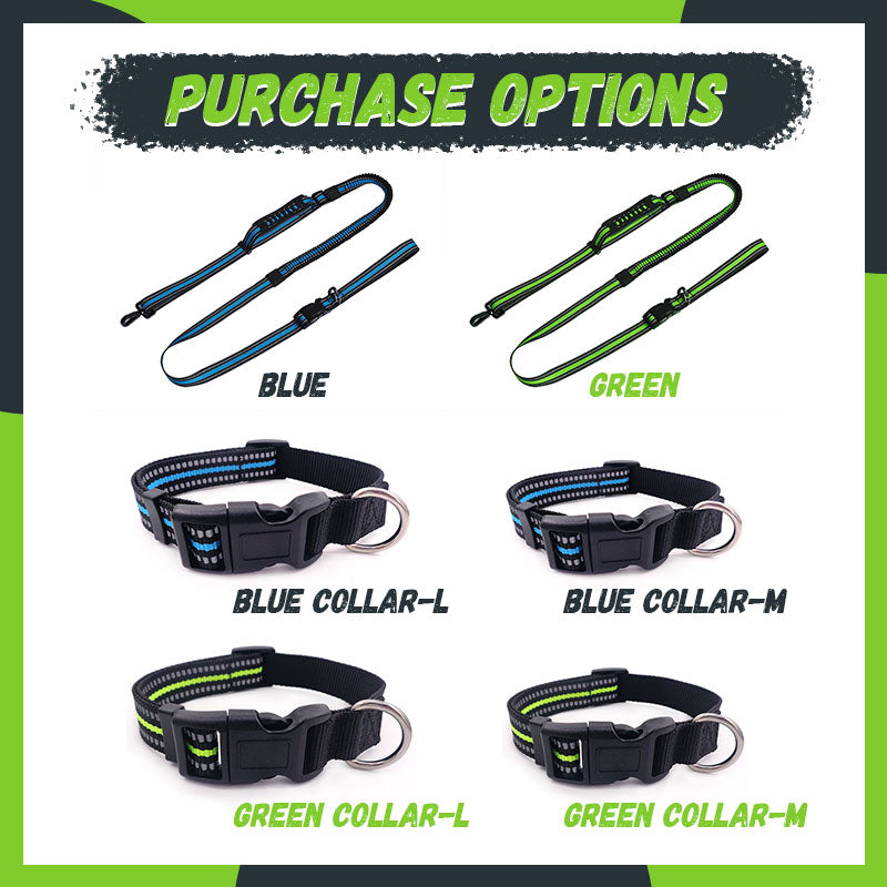 Explosion-Proof Punch Retractable Pet Leash