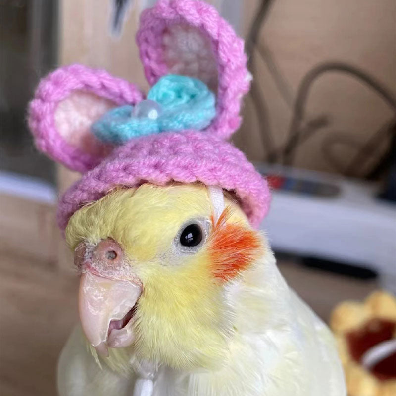 Parrot Pet Hat