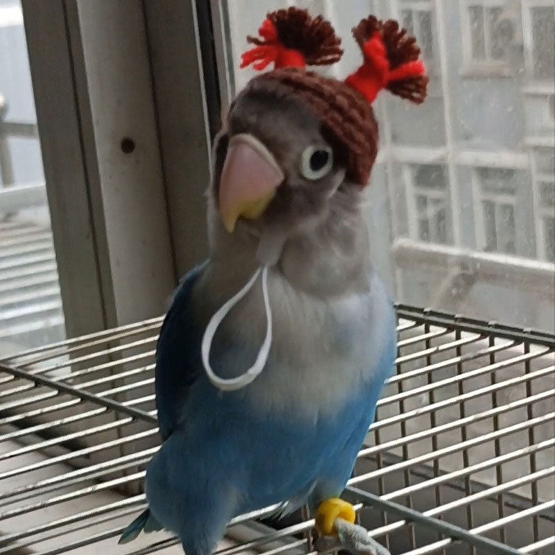 Parrot Pet Hat