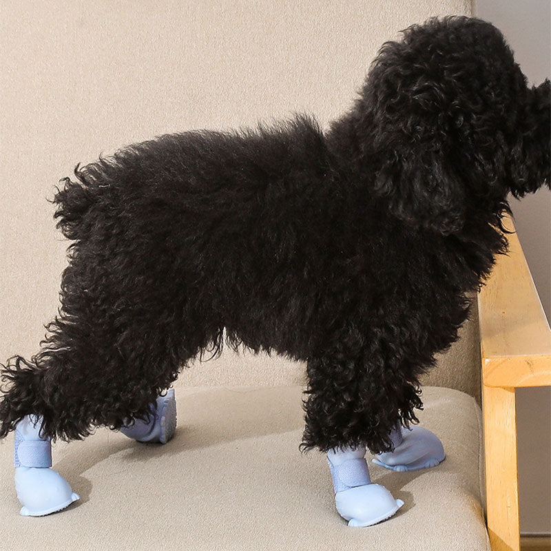 Pet Dog Rain Boots