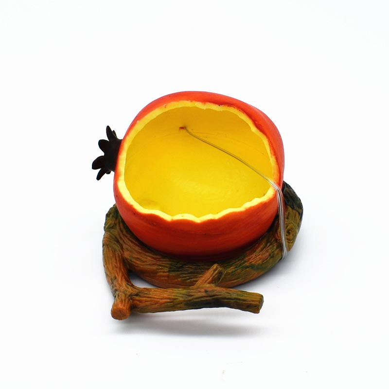 Creative Parrot Fruit Food Box