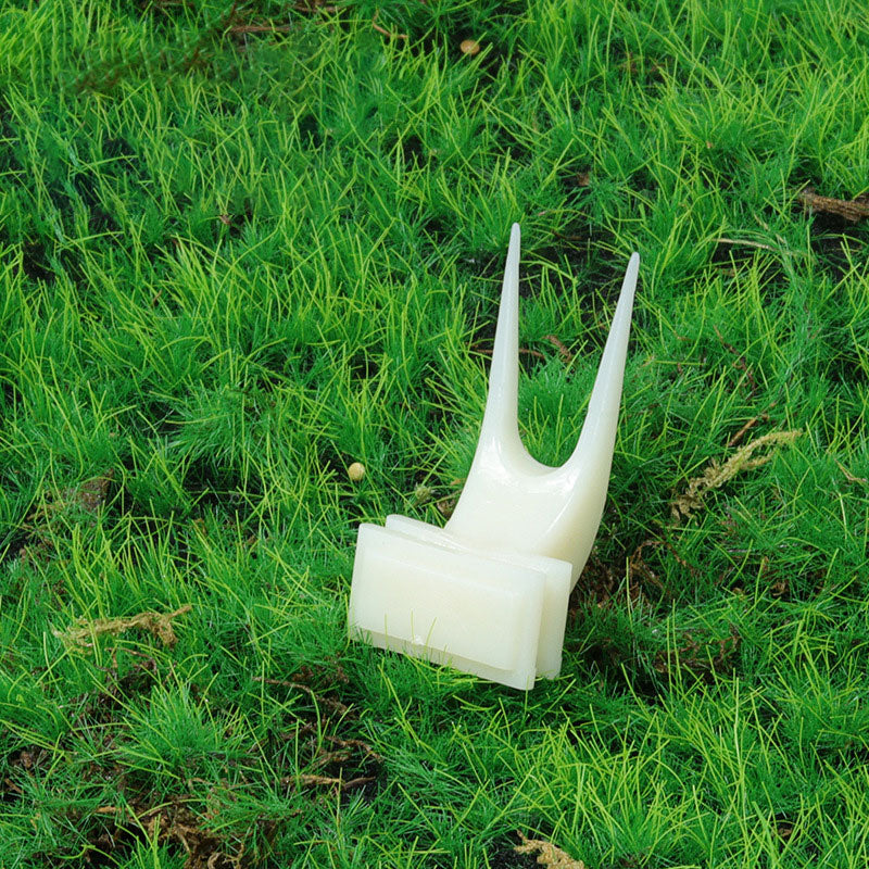 Pet Parrot Fruit Fork