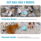 ⏰Last Sale✨2 in 1 Simulated Interactive hunting cat toy