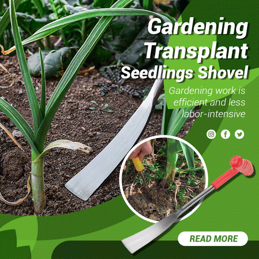 Gardening Transplant Seedlings Shovel