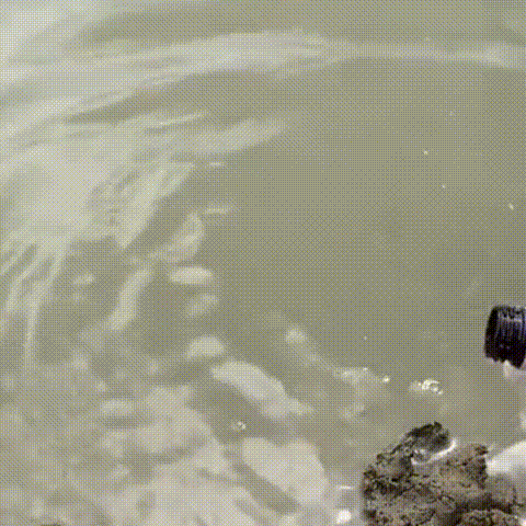 Natural Bait Scented Fish Attractant