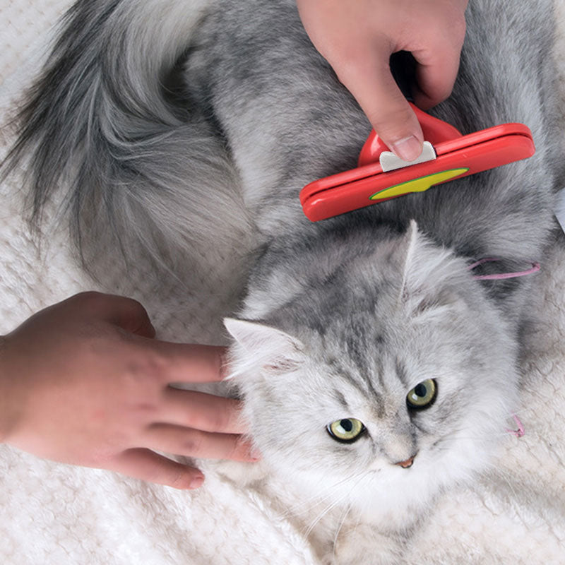New Pet Hair Removal Brush