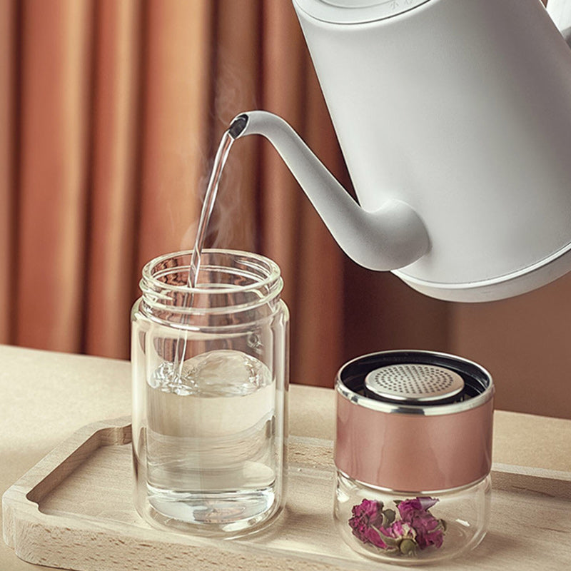 Double Wall Glass Tea Infuser Bottle