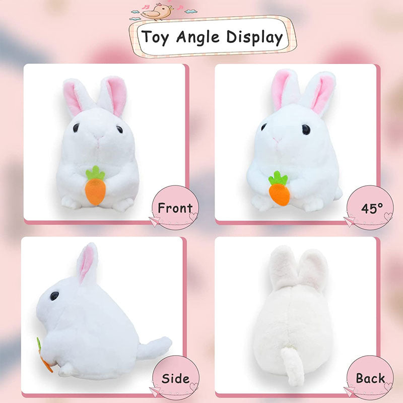 Rabbit Wagging Its Tail