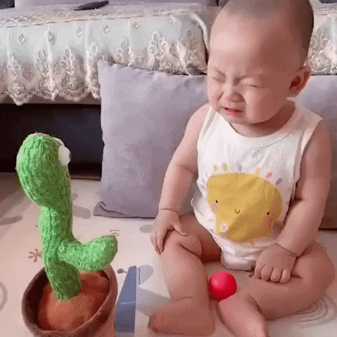 The Funny Dancing Cactus Toy