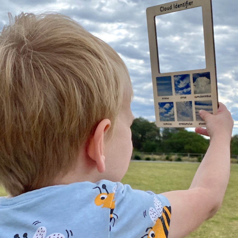 Wooden Cloud Identifier