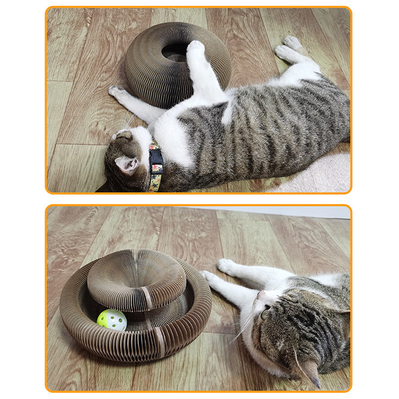 Magic Organ Cat Scratching Board