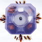 Reusable Cockroach Catcher Trap