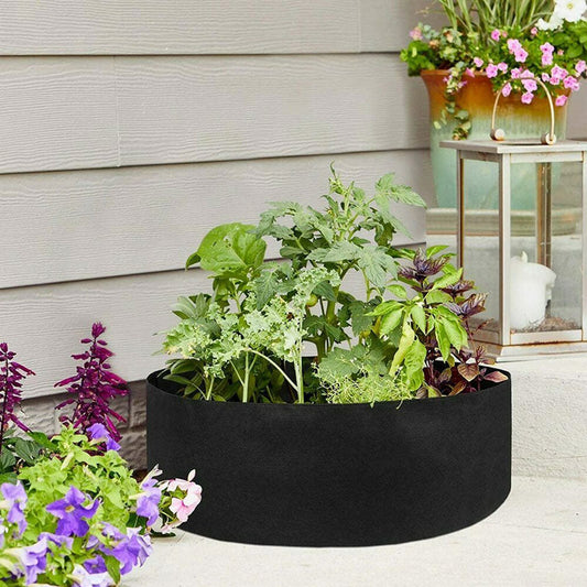 Vegetable Growth Bag