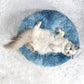 Calming Donut Pet Bed