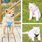 Vest Pet Leash
