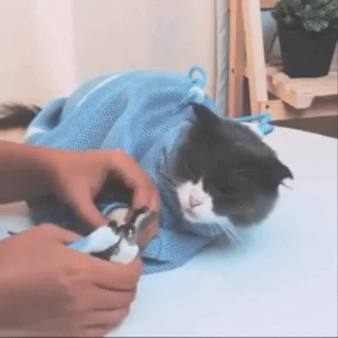 Multi-functional Pet Grooming Bath Bag