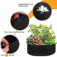 Vegetable Growth Bag