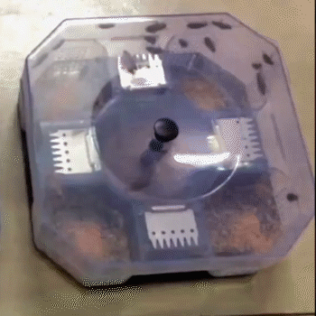 Reusable Cockroach Catcher Trap