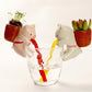 Pooh Animal Straw