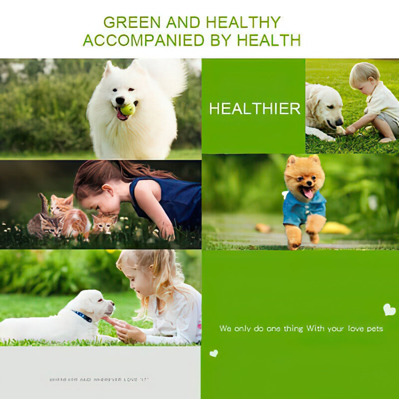 2022 New Pet Ear Powder