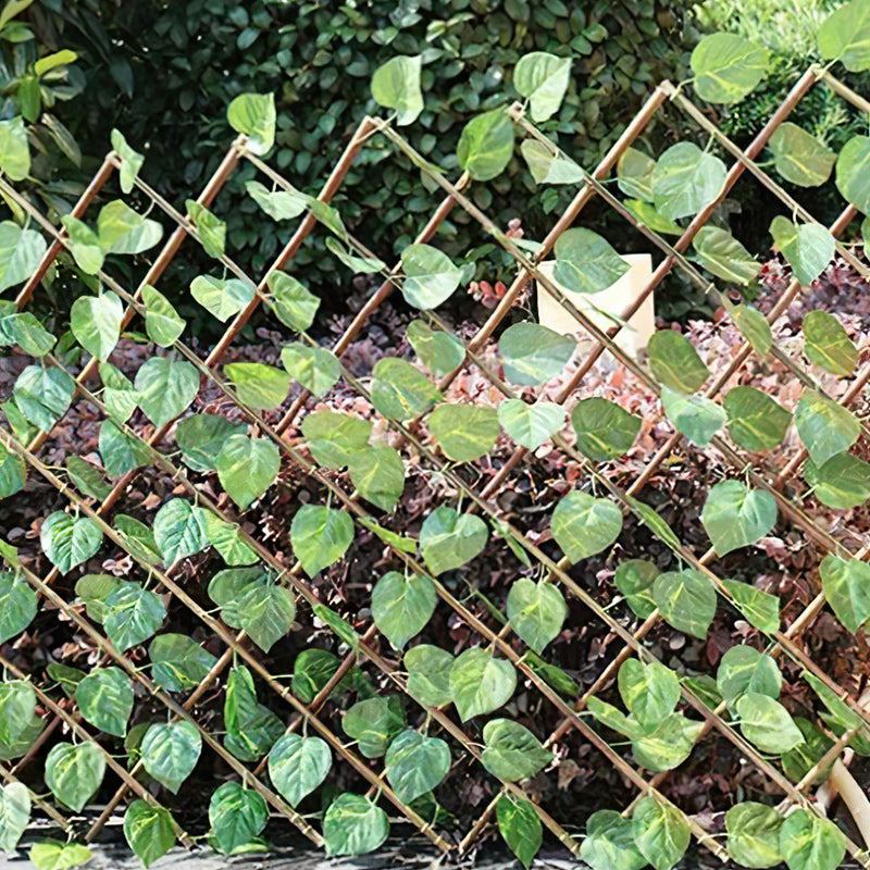 Gard Decorativ Extensibil