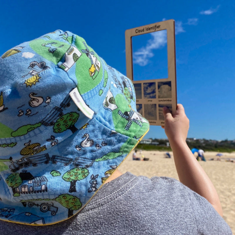 Wooden Cloud Identifier